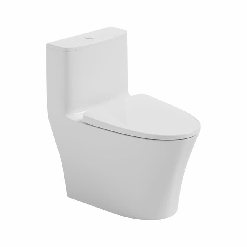 Chưa được phân loại